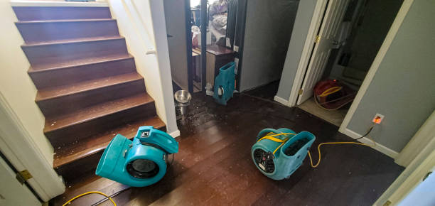 Best Water damage restoration experts  in Southern Shops, SC