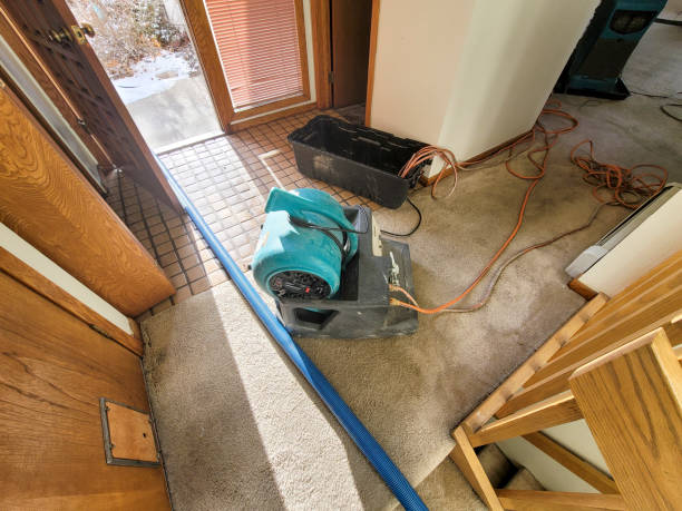 Water damage restoration process in Southern Shops, SC