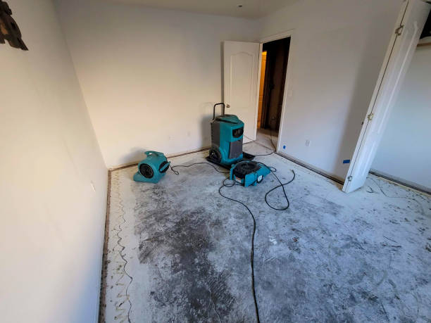 Water damage restoration insurance claims in Southern Shops, SC