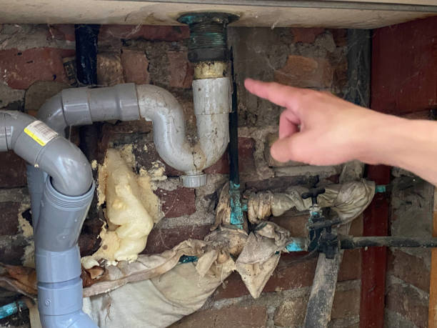 Best Water damage cleanup near me  in Southern Shops, SC